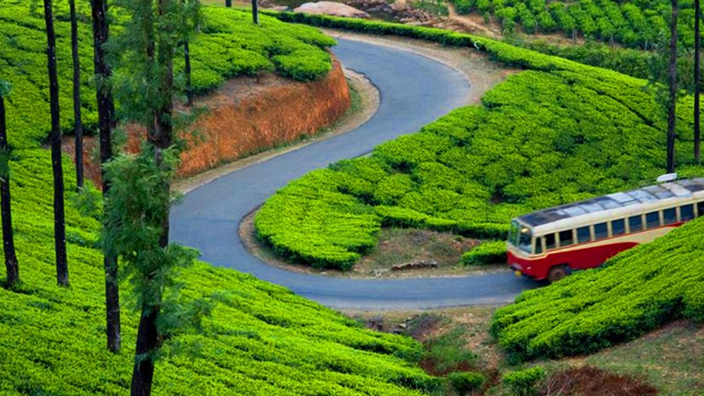 Cochin Munnar Thekkady Alleppey Kovalam Kanyakumari